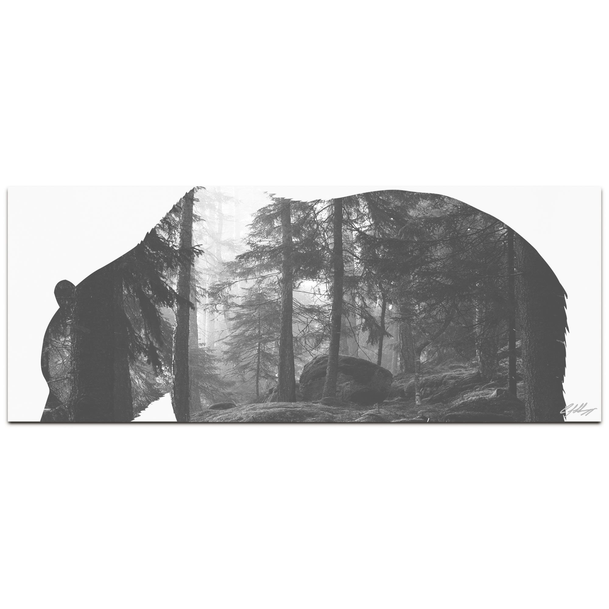 GRIZZLY BEAR FOREST - 48x19 in. Metal Animal Print