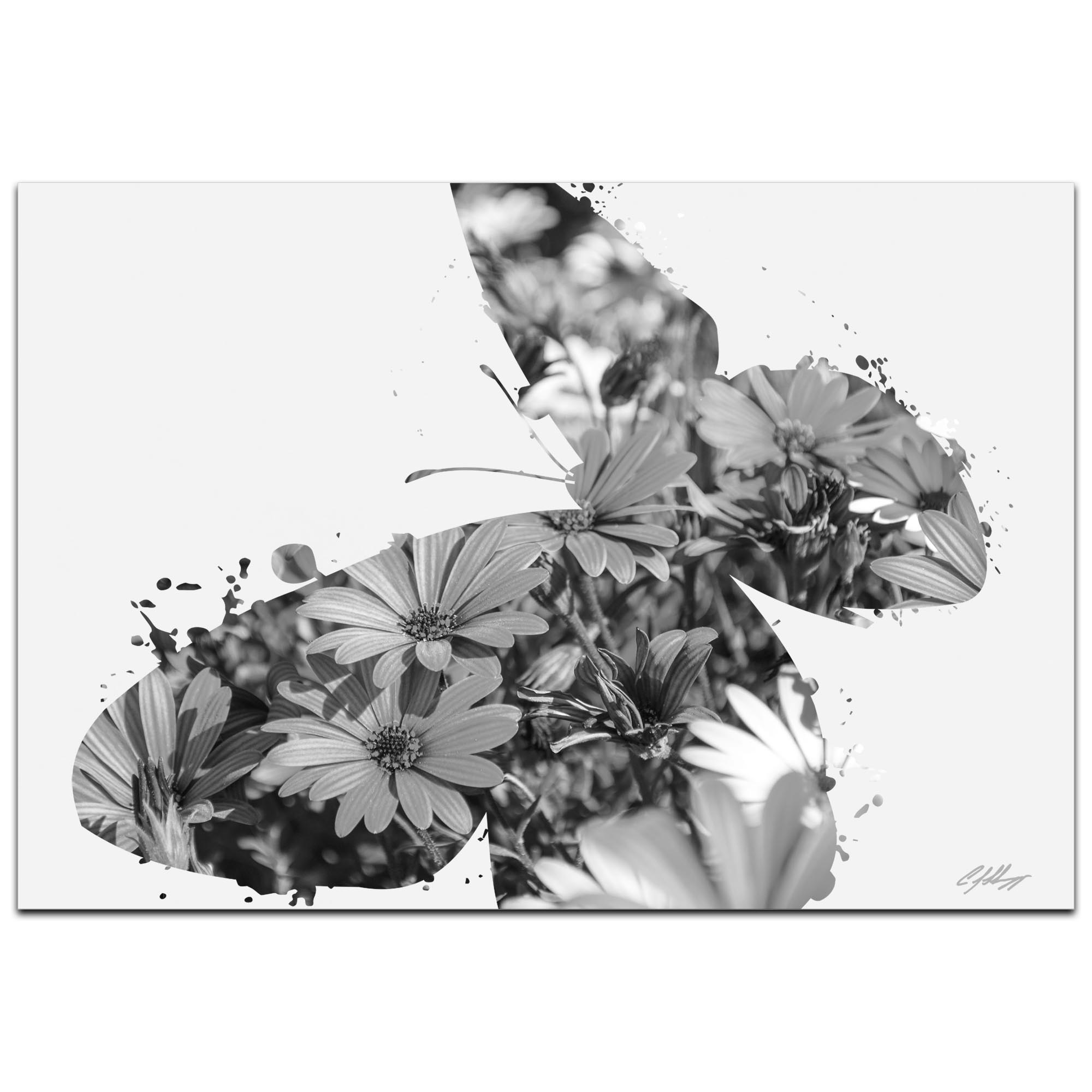 Butterfly Flowers Gray by Adam Schwoeppe Animal Silhouette on White Metal