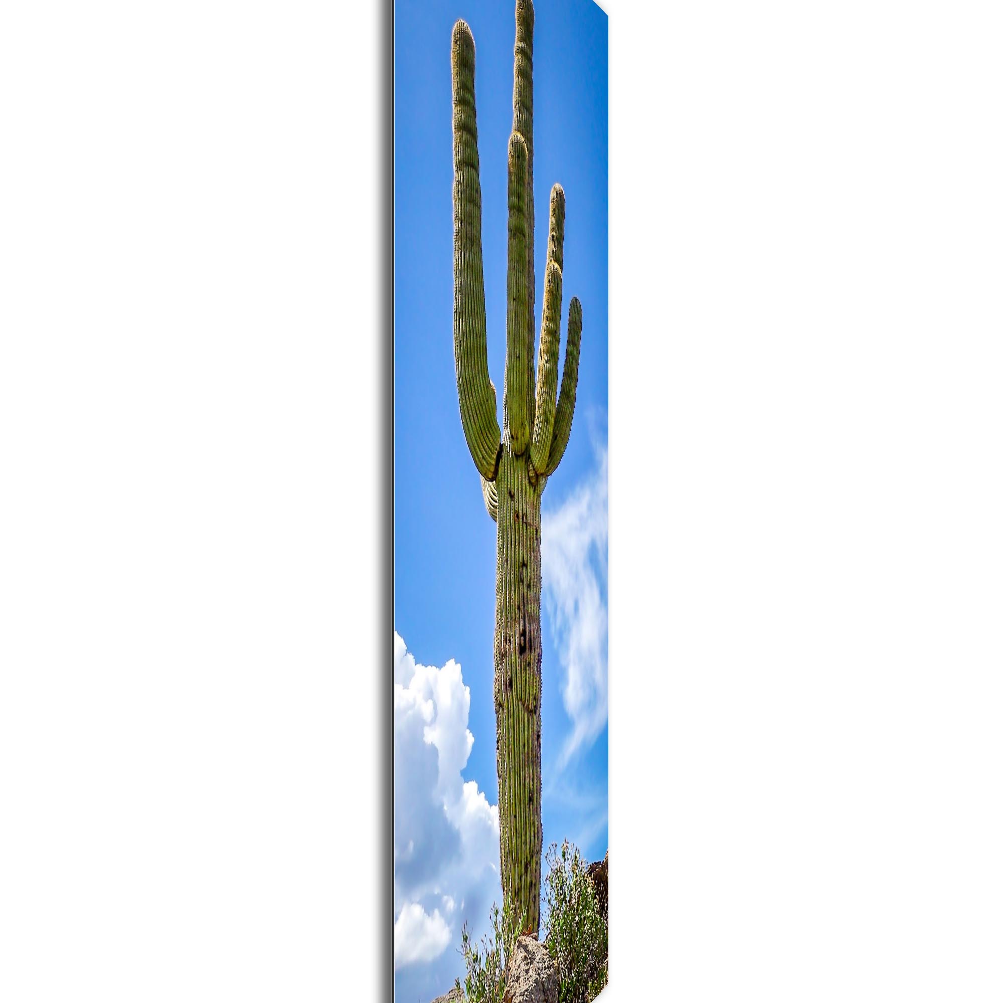 Saguaro Cactus by Adam Utz - Desert Art, Southwestern Decor (19in x 48in) - Image 2
