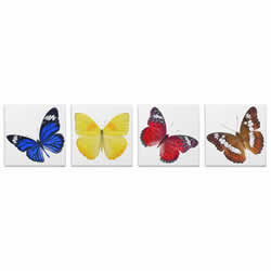 Butterflies - Contemporary giclee Painting Print on Canvas