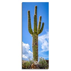 Adam Utz Saguaro Cactus 19in x 48in Contemporary Style Desert Art