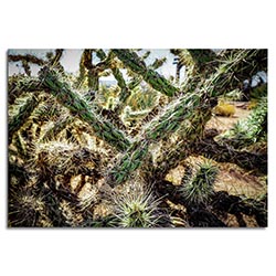 Adam Utz Cholla Cactus 32in x 22in Contemporary Style Desert Art