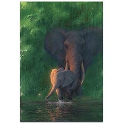 Elephant Wall Art Carefree Calf - African Wildlife Decor on Metal or Acrylic