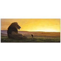 Expressionist Wall Art Lion in the Sun - Wildlife Decor on Metal or Plexiglass