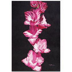 Traditional Wall Art Bright Pink Glads - Floral Decor on Metal or Plexiglass