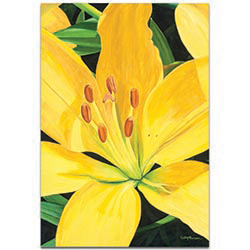 Traditional Wall Art Heart of a Yellow Lily - Floral Decor on Metal or Plexiglass