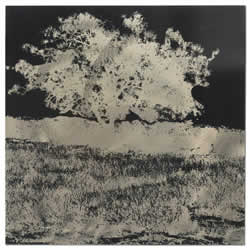 Tree Black & White Negative - Reverse Silhouette