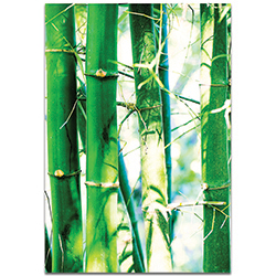 Asian Wall Art Bamboo Heights - Bamboo Decor on Metal or Plexiglass