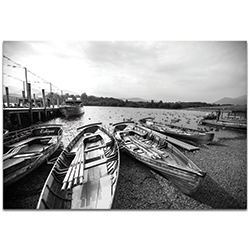 Black & White Photography Row of Rowers - Coastal Art on Metal or Plexiglass