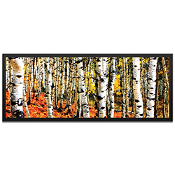 Eric Waddington Aspen Grove Framed 48in x 19in Landscape Photography Trees Art on Colored Metal