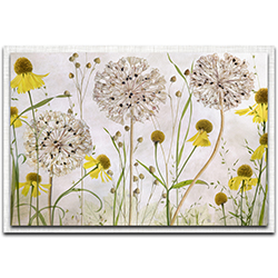 Mandy Disher Alliums and Heleniums 32in x 22in Modern Farmhouse Floral on Metal