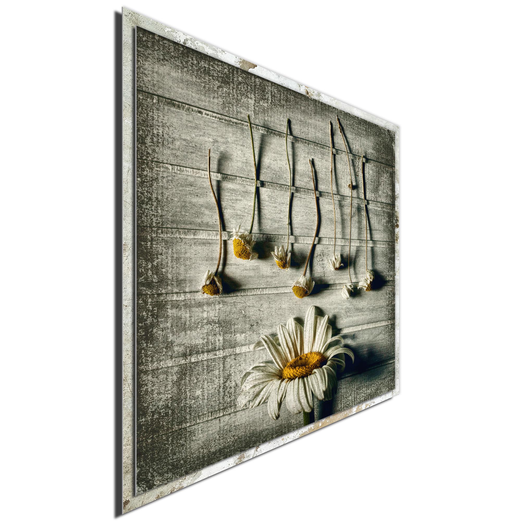 Survival by Evelina Petkova - Modern Farmhouse Floral on Metal - Image 2