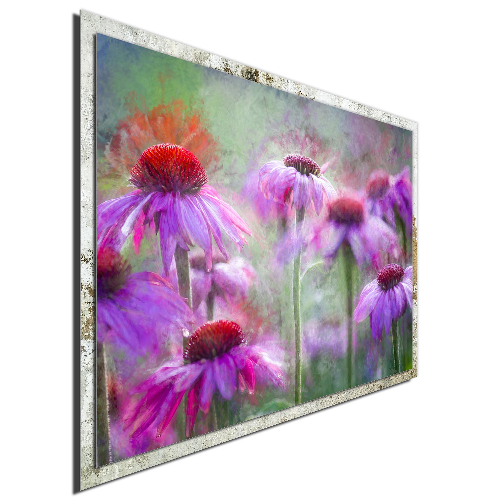Cone Flowers in the Morning Light by Ulrike Eisenmann - Modern Farmhouse Floral on Metal - Image 2