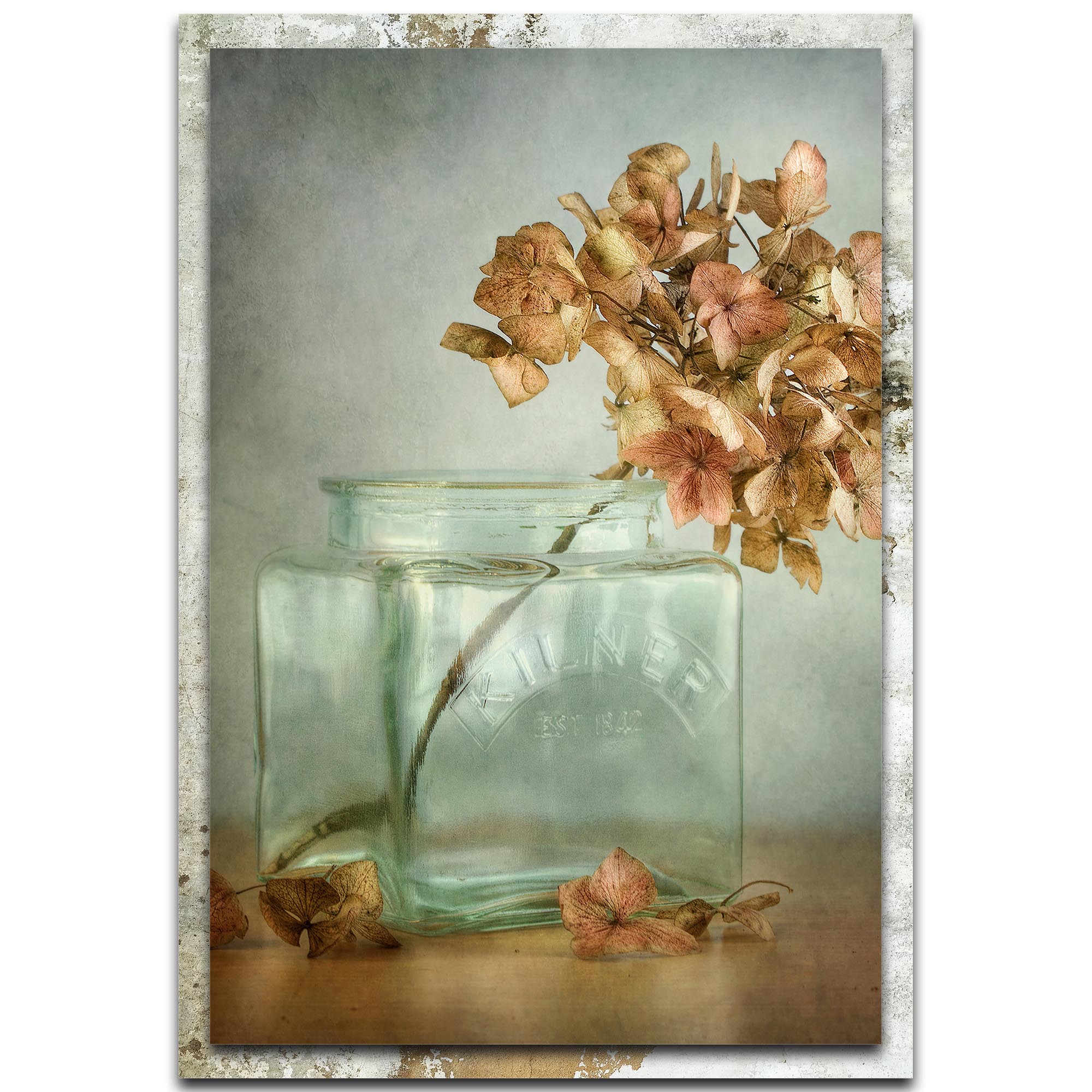 Mandy Disher 'Hydrangea' 22in x 32in Modern Farmhouse Floral on Metal