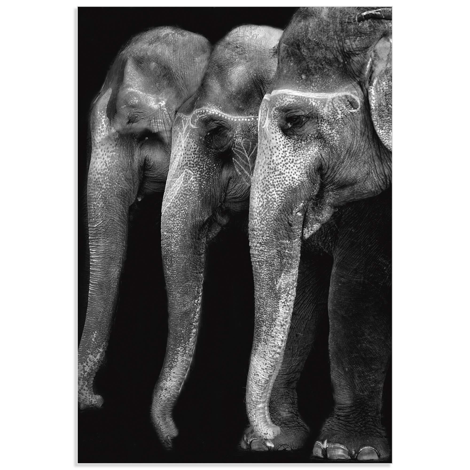 Great Elephants by Yvette Depaepe - Elephant Wall Art on Metal or Acrylic - Alternate View 2