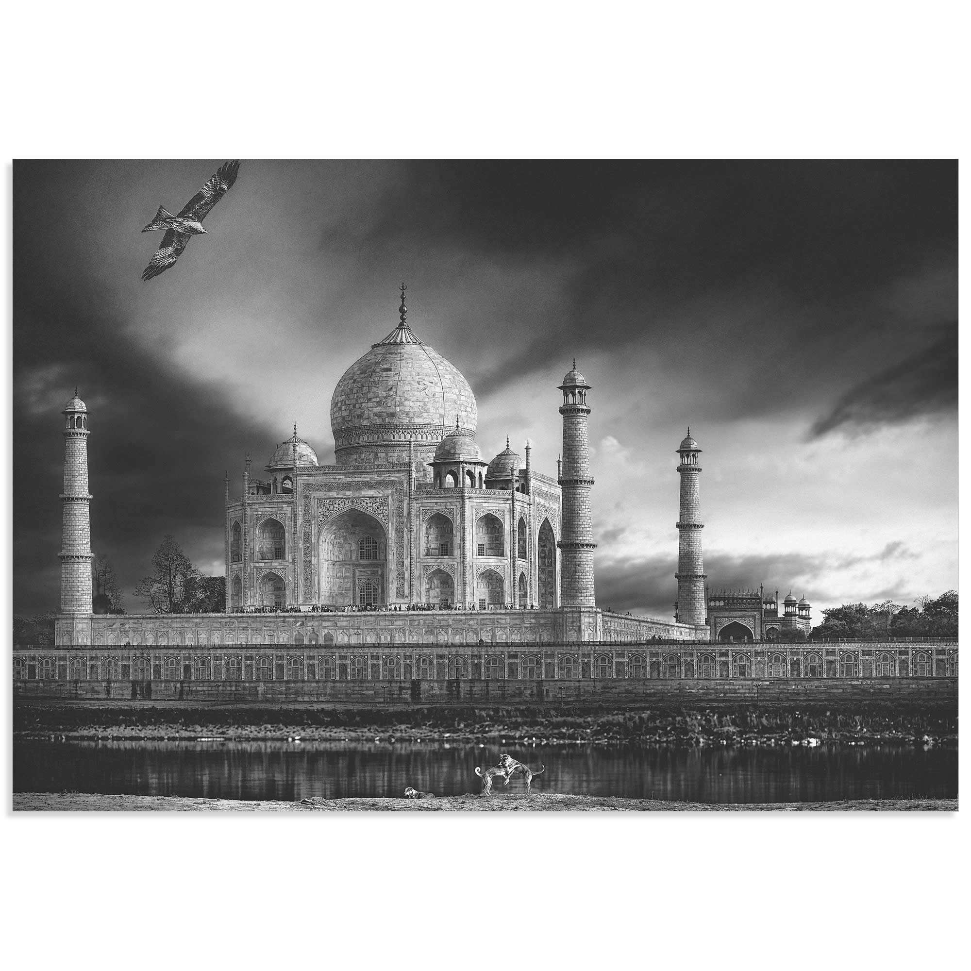 Taj Mahal in Black and White by Piet Flour - Taj Mahal Image on Metal or Acrylic