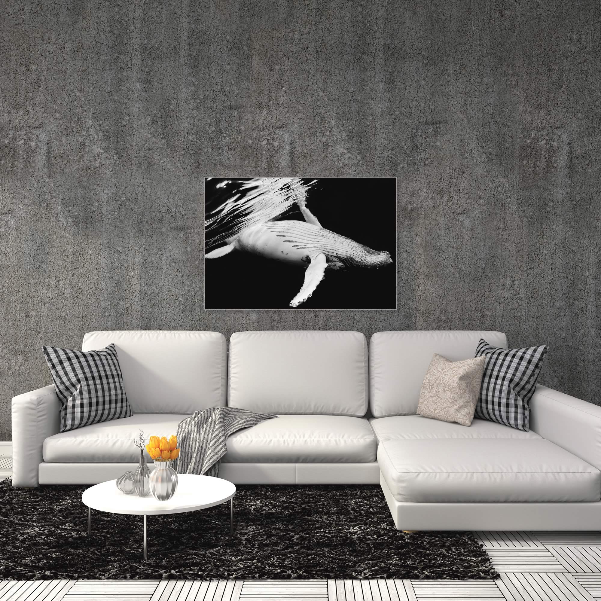 Black and White Whale by Barathieu Gabriel - Contemporary Whale Art on Metal or Acrylic - Alternate View 3